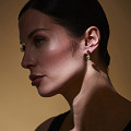 ART12943-NONE-1
