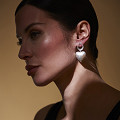 ART12938-NONE-1
