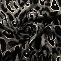 ART10326-NONE-1