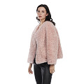 ART12880-NONE-2