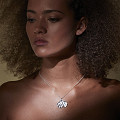 ART13749-NONE-2