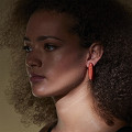 ART13320-NONE-1