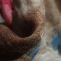 3129435-NONE-1