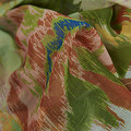 ART13492-NONE-1