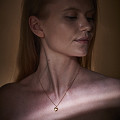 ART14494-NONE-2