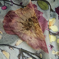 ART14059-NONE-1