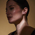 ART12921-NONE-1