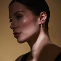 ART12946-NONE-1
