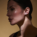 ART12920-NONE-1