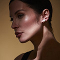 ART12931-NONE-1