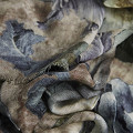 ART12599-NONE-1