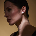 ART12918-NONE-1