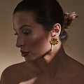 ART12386-NONE-1